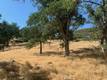 10455 SKY HIGH RIDGE ROAD LOWER LAKE, CA 95457