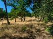 10455 SKY HIGH RIDGE ROAD LOWER LAKE, CA 95457