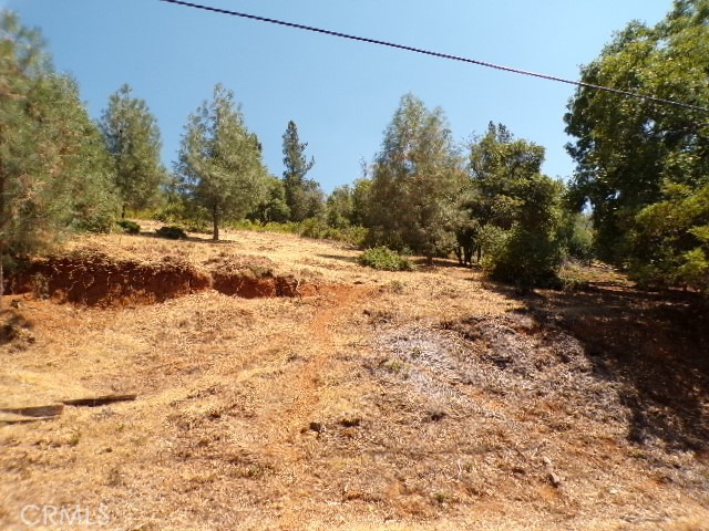 3122 SKYLINE DRIVE KELSEYVILLE, CA 95451