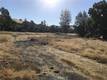 19774 E HIGHWAY 20 CLEARLAKE OAKS, CA 95423