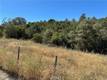22017 NO GUNS ROAD CLEARLAKE OAKS, CA 95423