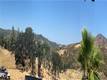 22605 CASCIO WAY LOWER LAKE, CA 95457