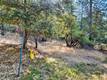 16370 MANZANITA COURT COBB, CA 95426