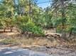 16370 MANZANITA COURT COBB, CA 95426