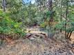 16370 MANZANITA COURT COBB, CA 95426