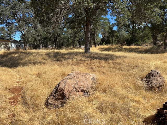 16270 16TH AVENUE CLEARLAKE, CA 95422