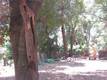 7979 BUCKINGHAM COURT KELSEYVILLE, CA 95451