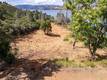 11390 POINT LAKEVIEW ROAD KELSEYVILLE, CA 95451