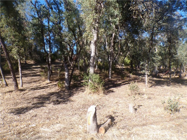 15608 36TH AVENUE CLEARLAKE, CA 95422