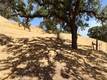 620 PARK WAY LAKEPORT, CA 95453