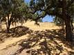620 PARK WAY LAKEPORT, CA 95453