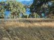 9500 GLENHAVEN DRIVE GLENHAVEN, CA 95443