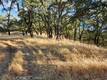 9500 GLENHAVEN DRIVE GLENHAVEN, CA 95443