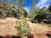 9500 GLENHAVEN DRIVE GLENHAVEN, CA 95443
