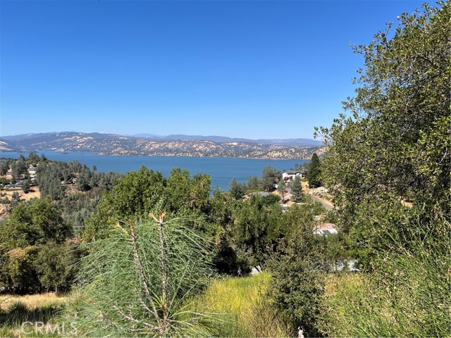 10009 POINT LAKEVIEW ROAD KELSEYVILLE, CA 95451