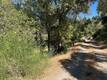 10009 POINT LAKEVIEW ROAD KELSEYVILLE, CA 95451