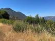 10009 POINT LAKEVIEW ROAD KELSEYVILLE, CA 95451