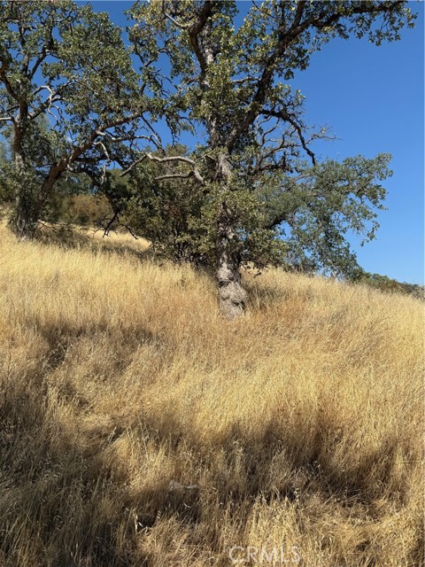 4722 ARROYO AVENUE CLEARLAKE, CA 95422