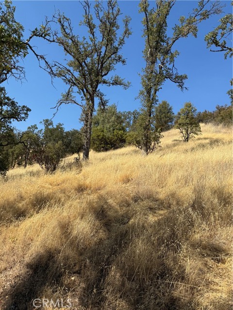 16422 37TH AVENUE CLEARLAKE, CA 95422