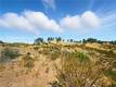 26648 JERUSALEM GRADE LOWER LAKE, CA 95457