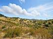 26648 JERUSALEM GRADE LOWER LAKE, CA 95457