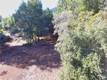 3407 TOYON CT KELSEYVILLE, CA 95451