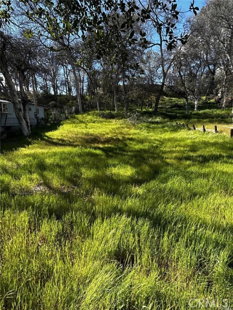 5614 CRAWFORD AVENUE CLEARLAKE, CA 95422