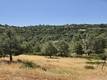 4720 IROQUOIS TRAIL KELSEYVILLE, CA 95451