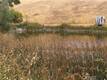 8740 ROCKY CREEK RD LOWER LAKE, CA 95457