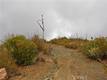 8740 ROCKY CREEK RD LOWER LAKE, CA 95457