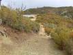8740 ROCKY CREEK RD LOWER LAKE, CA 95457