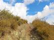 8740 ROCKY CREEK RD LOWER LAKE, CA 95457