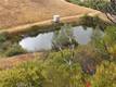 8740 ROCKY CREEK RD LOWER LAKE, CA 95457