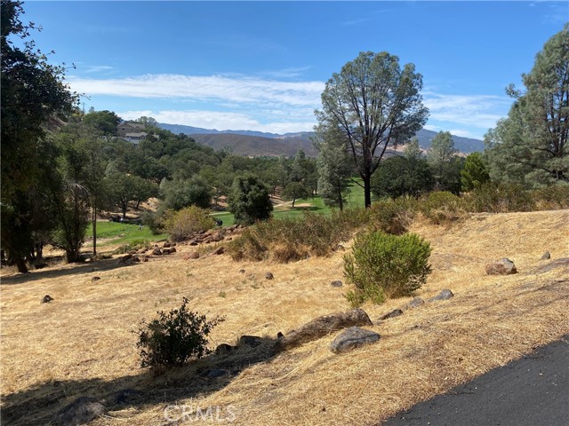 20169 POWDER HORN HIDDEN VALLEY LAKE, CA 96467