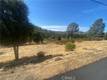 20169 POWDER HORN HIDDEN VALLEY LAKE, CA 96467