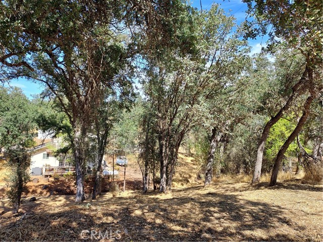 16258 35TH CLEARLAKE, CA 95422