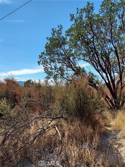 16301 11TH AVENUE CLEARLAKE, CA 95422