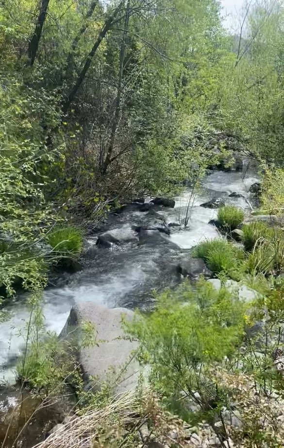 11655 CASA GRANDE LANE MIDDLETOWN, CA 95461