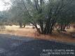 16291 20TH CLEARLAKE, CA 95422