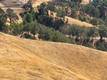 7700 BRUNER DRIVE GLENHAVEN, CA 95443