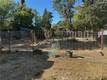 320 ARMSTRONG STREET LAKEPORT, CA 95453
