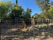 320 ARMSTRONG STREET LAKEPORT, CA 95453