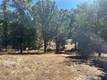 1000 EVA WAY LAKEPORT, CA 95453