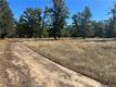 1000 EVA WAY LAKEPORT, CA 95453