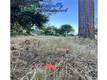 12230 CERRITO DRIVE CLEARLAKE OAKS, CA 95423