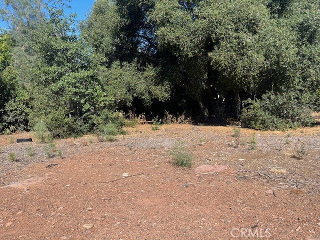 15660 20TH CLEARLAKE, CA 95422