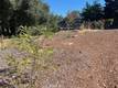 15660 20TH CLEARLAKE, CA 95422