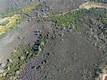 5955 KONOCTI ROAD KELSEYVILLE, CA 95451
