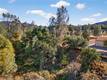3245 WEEPING WILLOW WAY CLEARLAKE OAKS, CA 95423