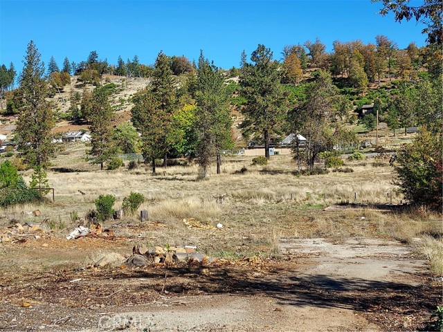 15240 SUMMIT COBB, CA 95426